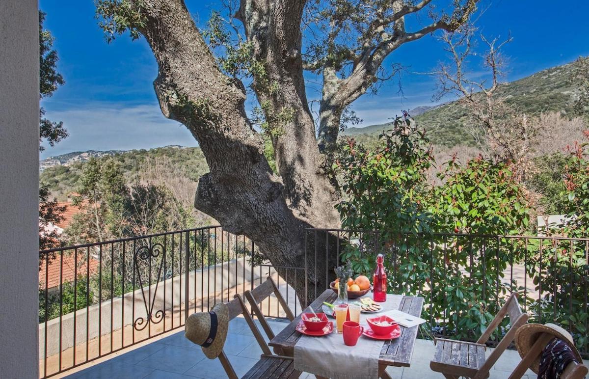 דירות פטרימוניו Domaine Ghjulia מראה חיצוני תמונה